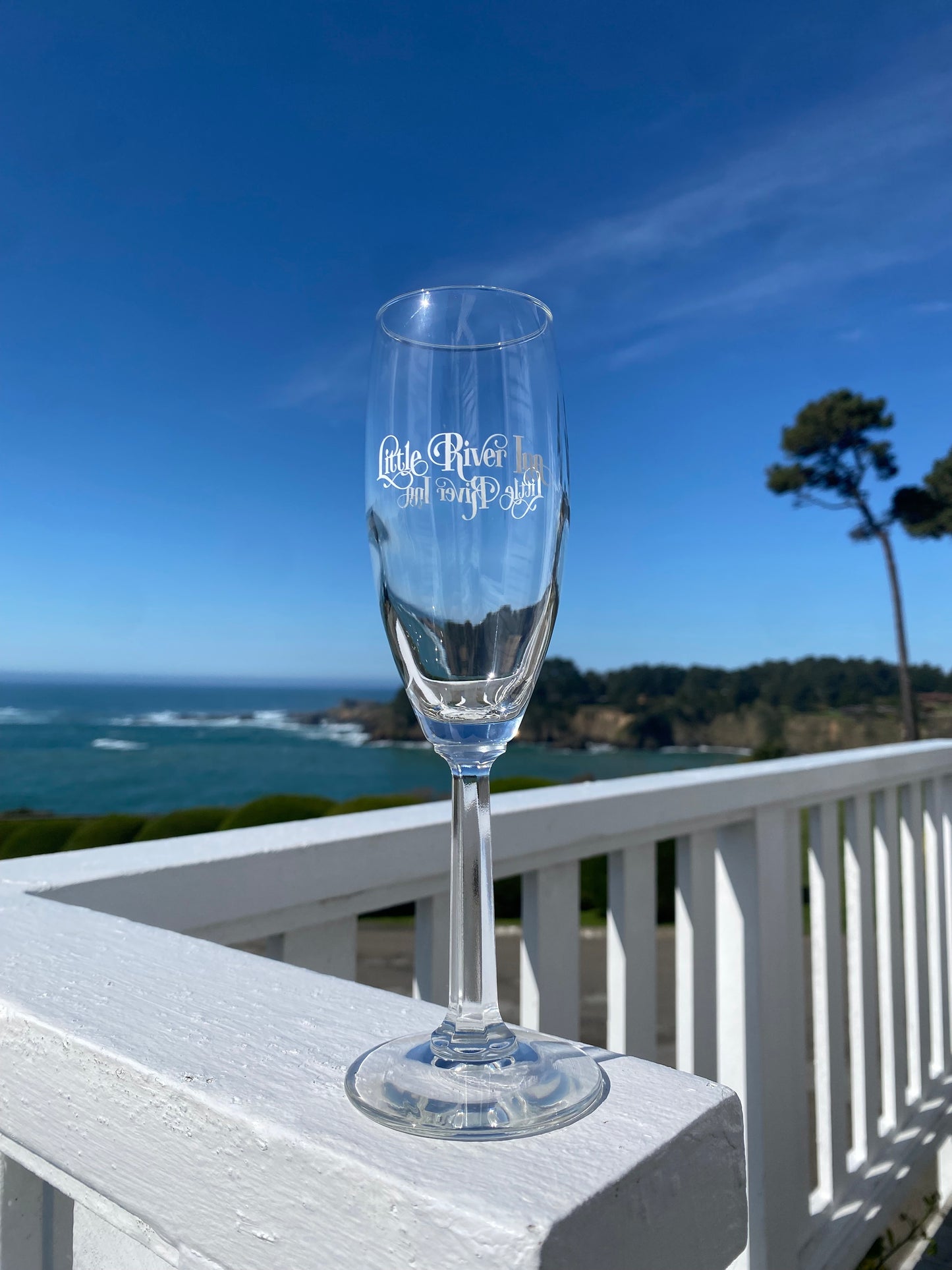 Champagne Glasses (Room Delivery Only)
