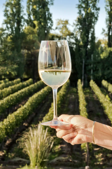 WHITE & ROSÉ WINES (Room Delivery Only)