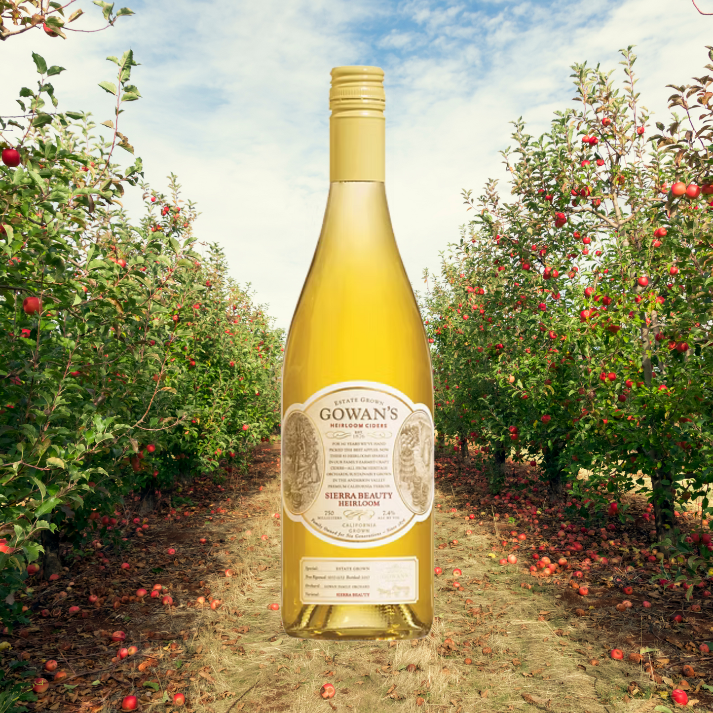 Hard Ciders - Gowans (Room Delivery Only)