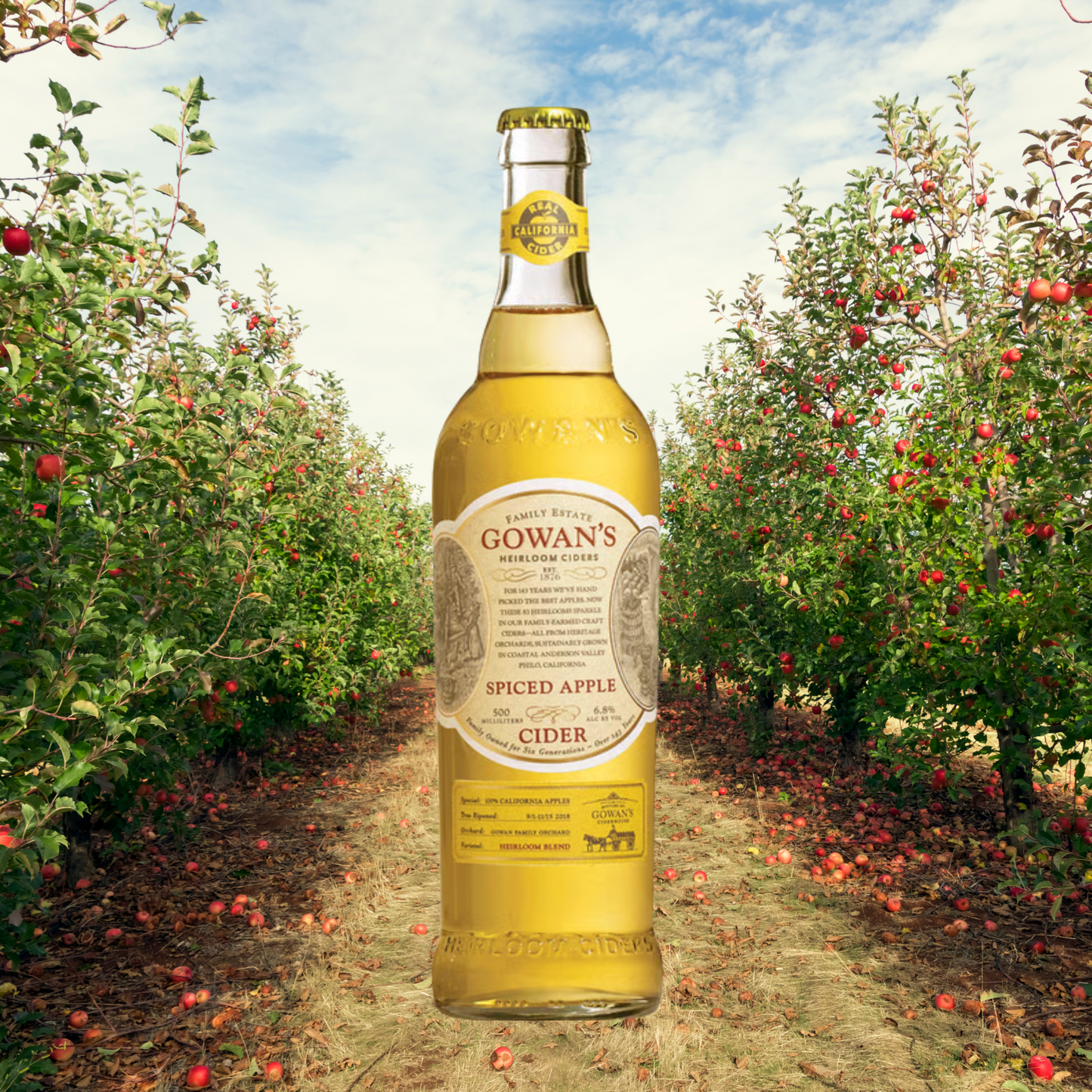 Hard Ciders - Gowans (Room Delivery Only)