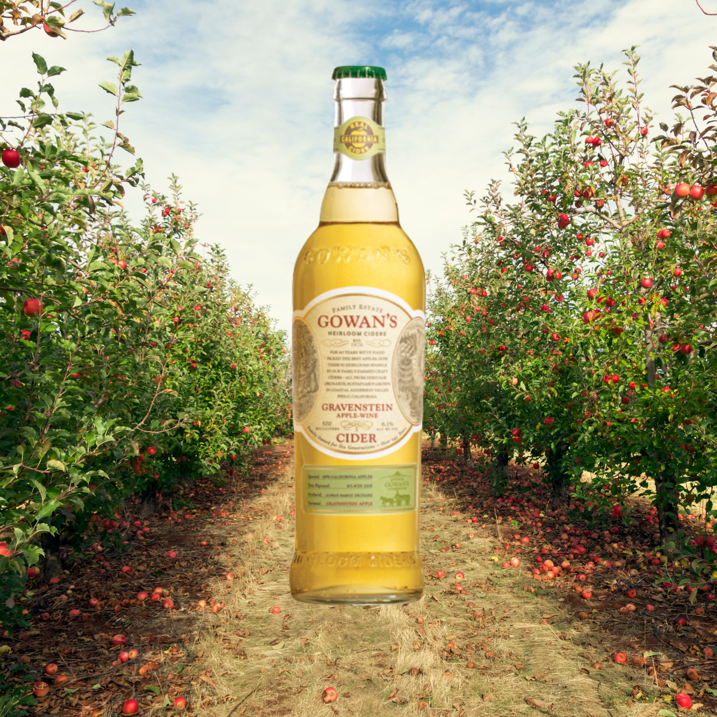 Hard Ciders - Gowans (Room Delivery Only)