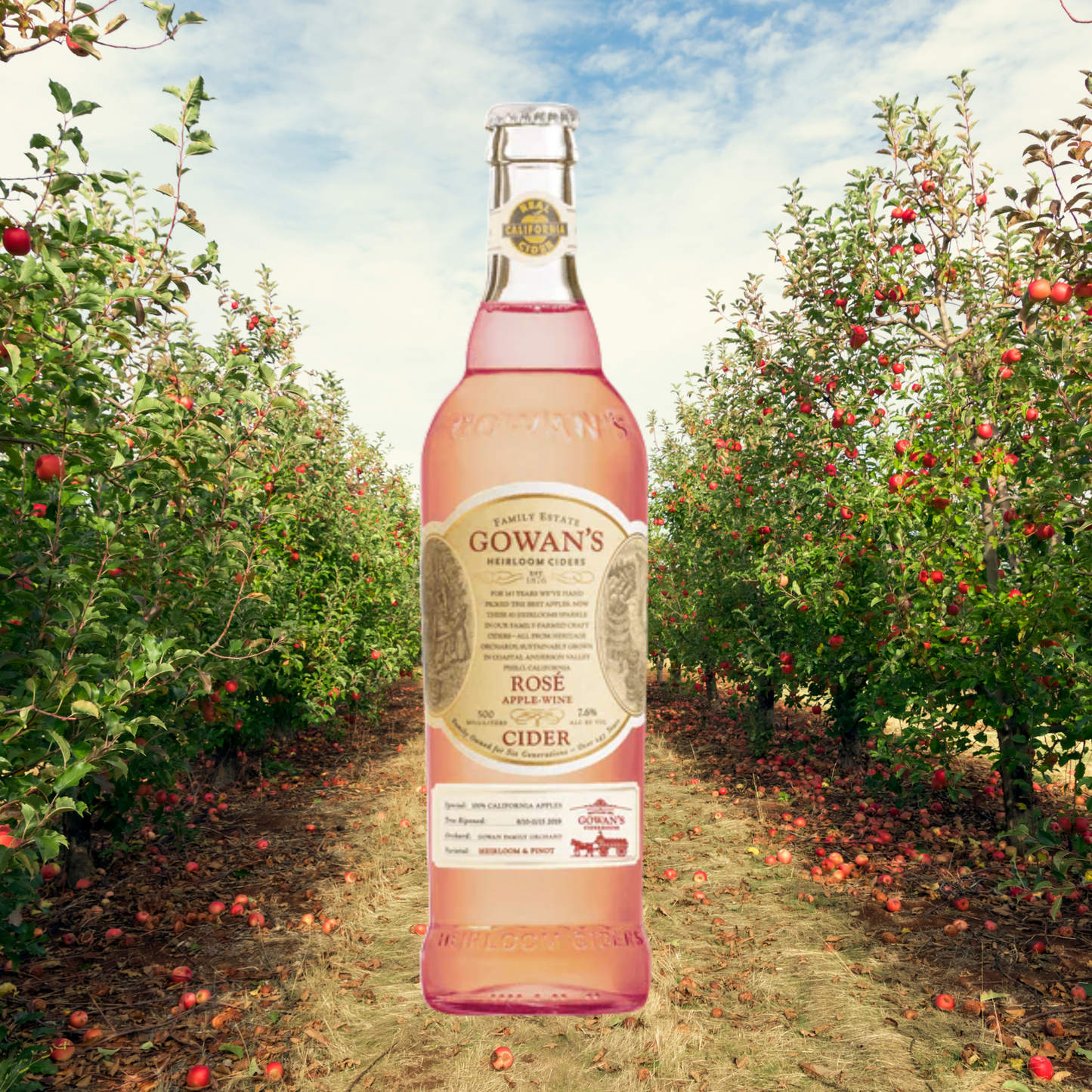 Hard Ciders - Gowans (Room Delivery Only)